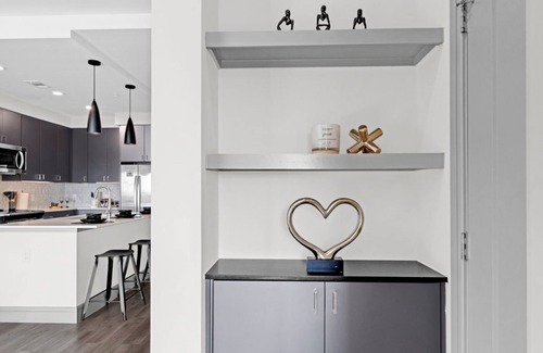 Texas Medical Center Appartement | HoustonLuxe Penthouse Highrise