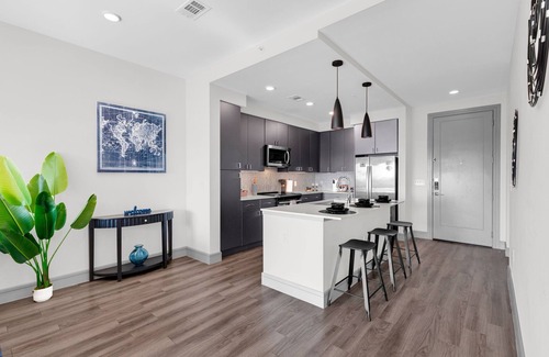 Texas Medical Center Appartement | HoustonLuxe Penthouse Highrise