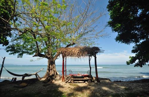 Cabuya Hôtel | Howler Monkey Hotel