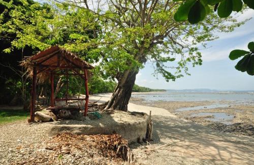 Cabuya Hôtel | Howler Monkey Hotel