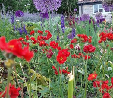 Wedmore Maison | Huberts,