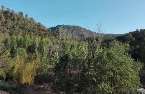 Villacarrillo Maison | Huerta de José Miguel
