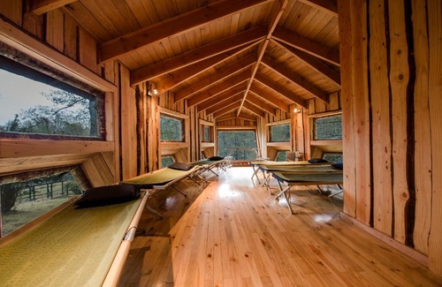 Neltume Cabine | Huilo Huilo Canopy Village