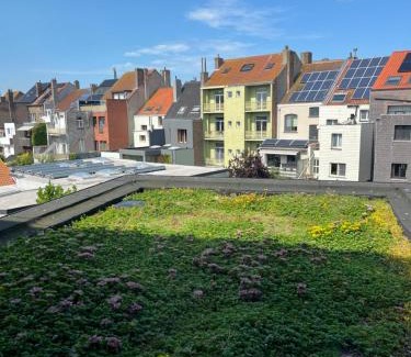Vogelzang Maison | Huis Agnes