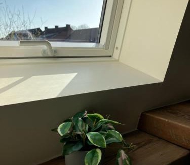 Tongeren Maison | Huisje Emma