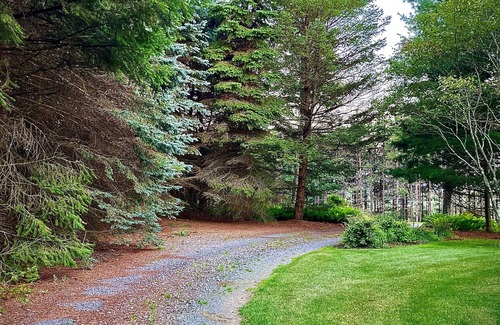 Galeton Cottage | Hummingbird Hideaway