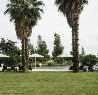 Palmela Maison | Humus Farm
