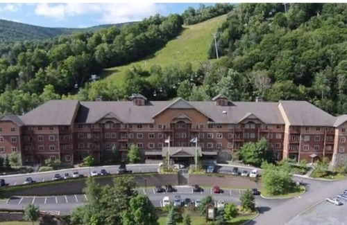 Hunter Copropriété | Hunter Mtn Slopeside Ski Resort w HotTub Fireplace Heated Pool Restaurant