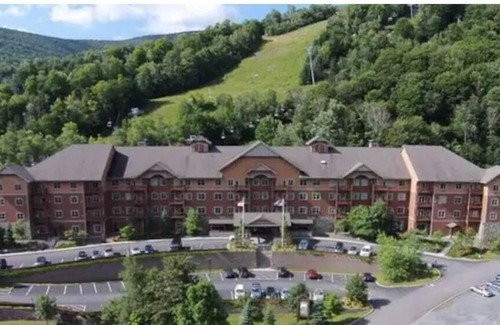 Hunter Copropriété | Hunter Mtn Slopeside Ski Resort w HotTub Fireplace Heated Pool Restaurant