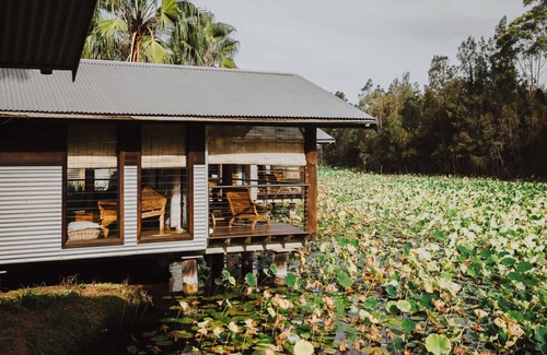 Lovedale Cabine | Unique Hunter Valley Rainforest Hideaway, The Showerhouse at Leaves and Fishes