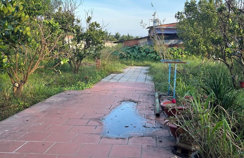 Hiep Ninh Cabine | Huong Sen Garden Lodge