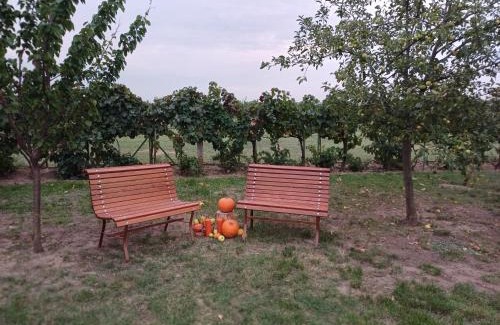 Balatonkiliti Appartement | HutiFeri apartman