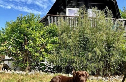Feriendorf Frankenau Maison | Hüttenzauber Frankenau - Ferienhaus f. 2 à 6 personnes - de préférence avec un chien
