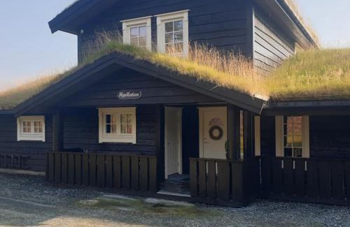 Stryn Maison | Hydlatun Panorama