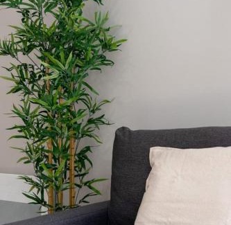 Lille Centre Ville Appartement | Hypercentre -Apartment in pedestrian zone