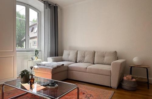 Saverne Appartement | Hypercentre T2 50 m2, Château des Rohan
