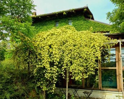 Cinzano Maison | I Conti della Serva