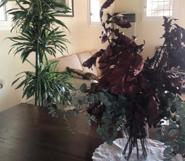 Forli Maison | I MERISI