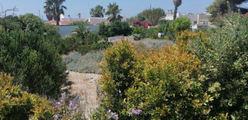 Gallipoli Appartement | I Mirti - Home Holiday