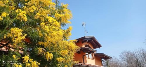 Candia Canavese Appartement | I salici