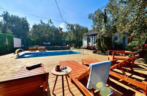 Iznik Autre | İZNİK Lake Olive villa