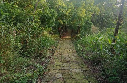 Sohra Maison | Ibankordor Jungle Resort