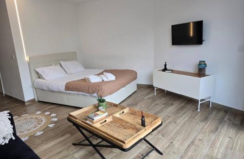 Aveiro Appartement | iConik Design Apartments