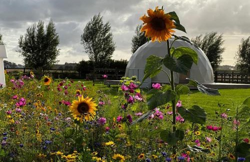Mannekensvere Autre | ID Glamping De Coude Scheure