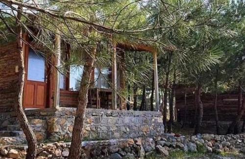 Zeytinli Autre | ida bay doğa evleri