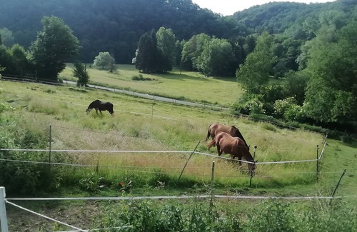 Helmeroth Copropriété | Ideal f. Families, eat-in kitchen, play corner, garden, terrace, animals, great nature