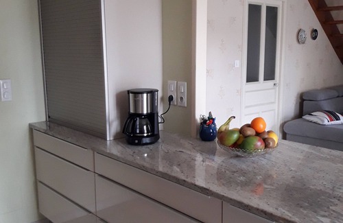 Saint-Hilaire-la-Palud Appartement | Idéal pour visite du marais et repos avec piscine, barque, vélos, parc