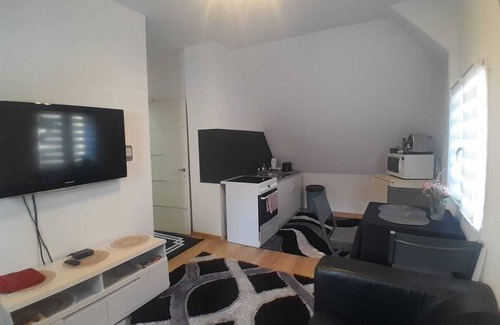 Sierentz Appartement | Ideal for Airport Heaven Sierentz Appartement