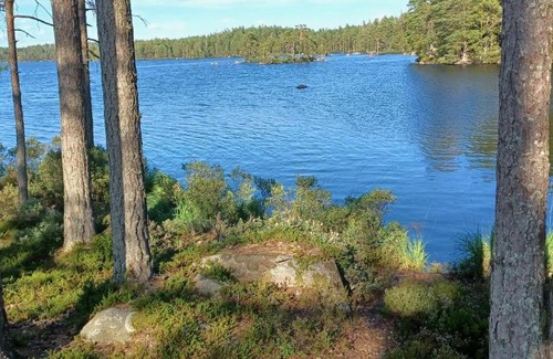 Gardsjo Appartement | Ideal for groups and families! Staying in a school next to the forest