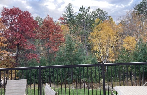 Crosslake Maison | Ideal location in Crosslake on the Whitefish Chain! Sleeps 12 with indoor pool!