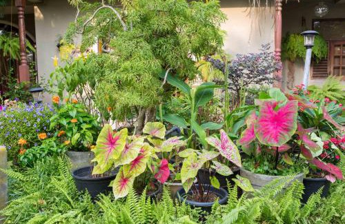 Sri Jayawardenepura Kotte Appartement | Idor Holidays