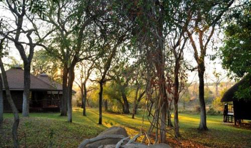 Thorny Bush Game Reserve Cabine | Idube Game Reserve