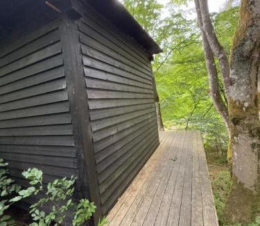 Them Autre | Idylisk primitiv hytte midt i skoven