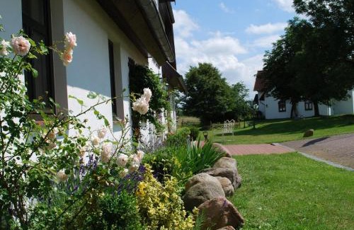 Dargun Appartement | Idyllic apartment with pool in Mecklenburg