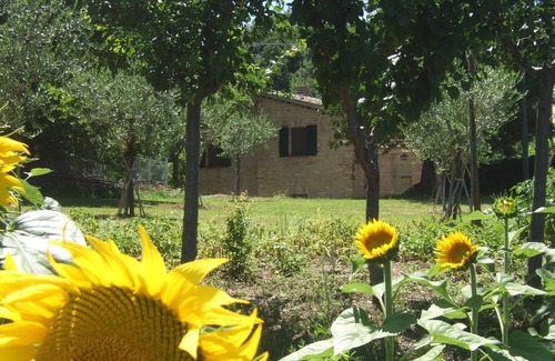 Montefalcone Appennino Cottage | Idyllic character cottage set in landscaped garden with a private pool