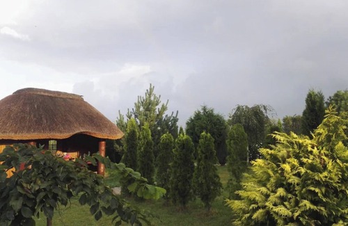gmina Bedzino Appartement | Idyllic location in the middle of nature on the shores of Lake Jamno, for families with dogs