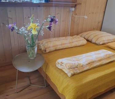 Bach a.d.Donau Appartement | Idyllisches Waldhaus mit Donaublick in Alleinlage