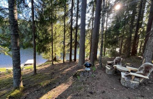 Skien Autre | idyllisk hytte ved vannet