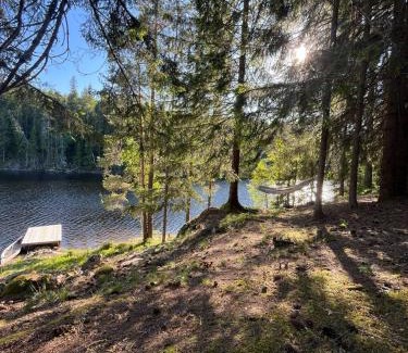Skien Autre | idyllisk hytte ved vannet