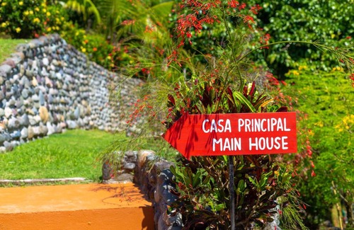 Esterillos Appartement | Iguana Apartmentos and Estate Apartment 1