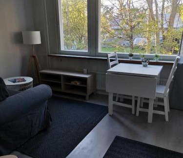 Kokkola Appartement | Ihana yksiö