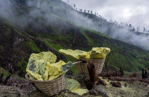 Kalipuro Maison | Ijen Basecamp & Homestay