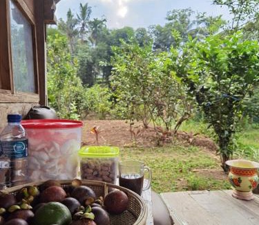 Kalipuro Cabine | Ijen Lemon House