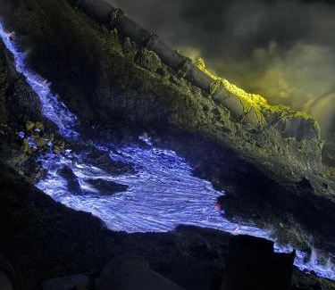 Kalipuro Maison | Ijen Transito 2 HOMESTAY