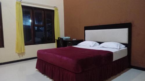 Kalipuro Maison | Ijen Transito 2 HOMESTAY