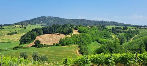 Casteggio Maison | Il Biancospino